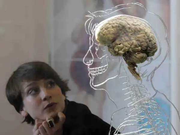 For the first time, scientists connect human brain to the computer